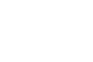 Bid Process Icon